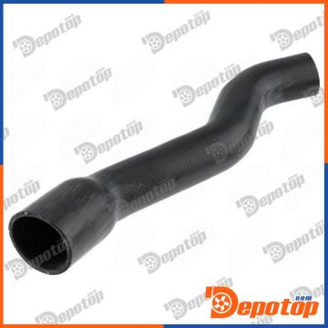 Gaine de suralimentation pour CITROEN | GPP-CT-048, 16120